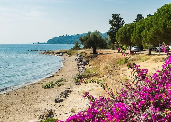 Xenios Loutra Village Hotel 3*